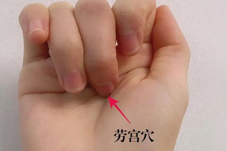 劳宫穴位置图
