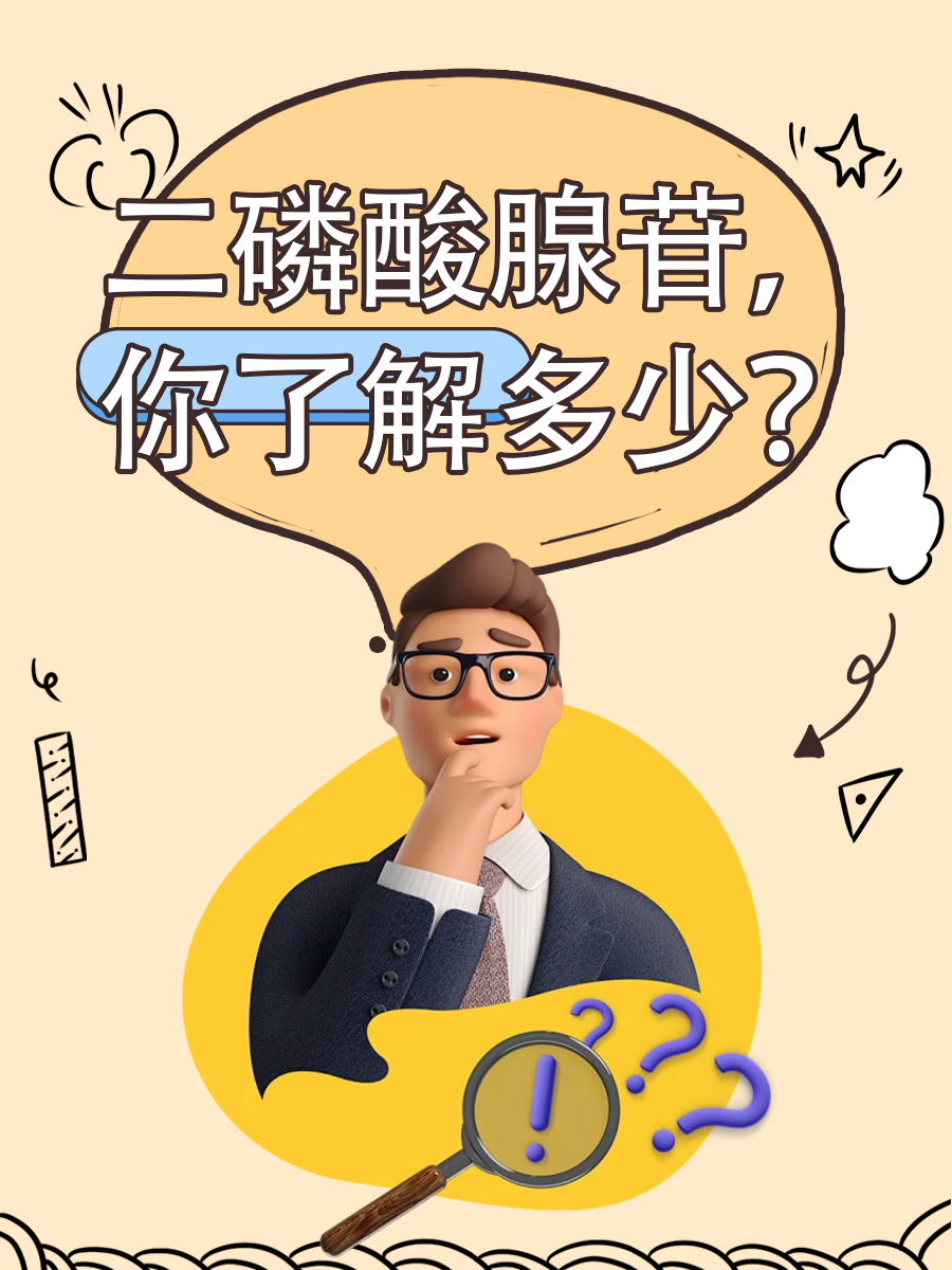 二磷酸腺苷，你了解多少？