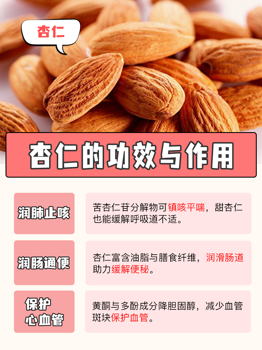 养生必备知识!杏仁的功效与作用有哪些?