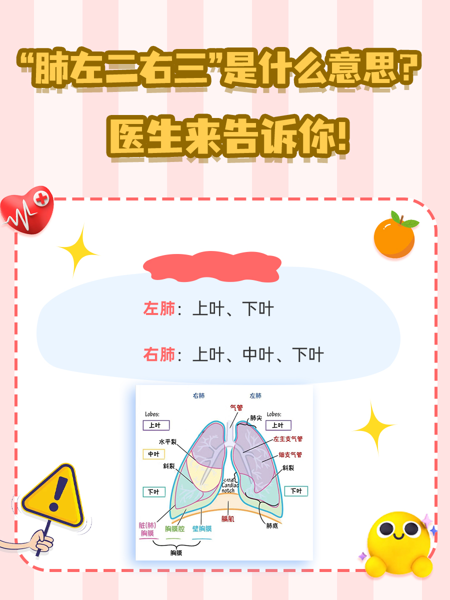“肺左二右三”是什么意思？医生来告诉你！
