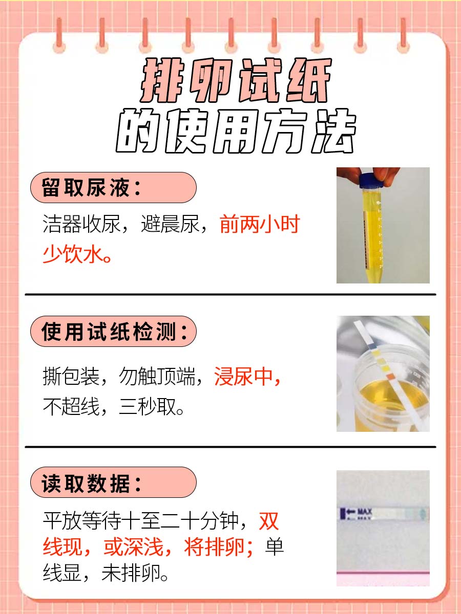 快来了解：排卵试纸怎么用？