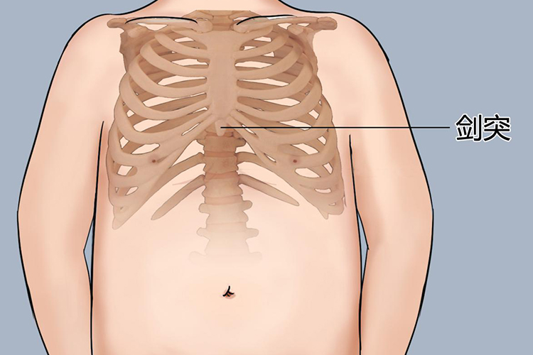 剑突位置图 剑突位置图