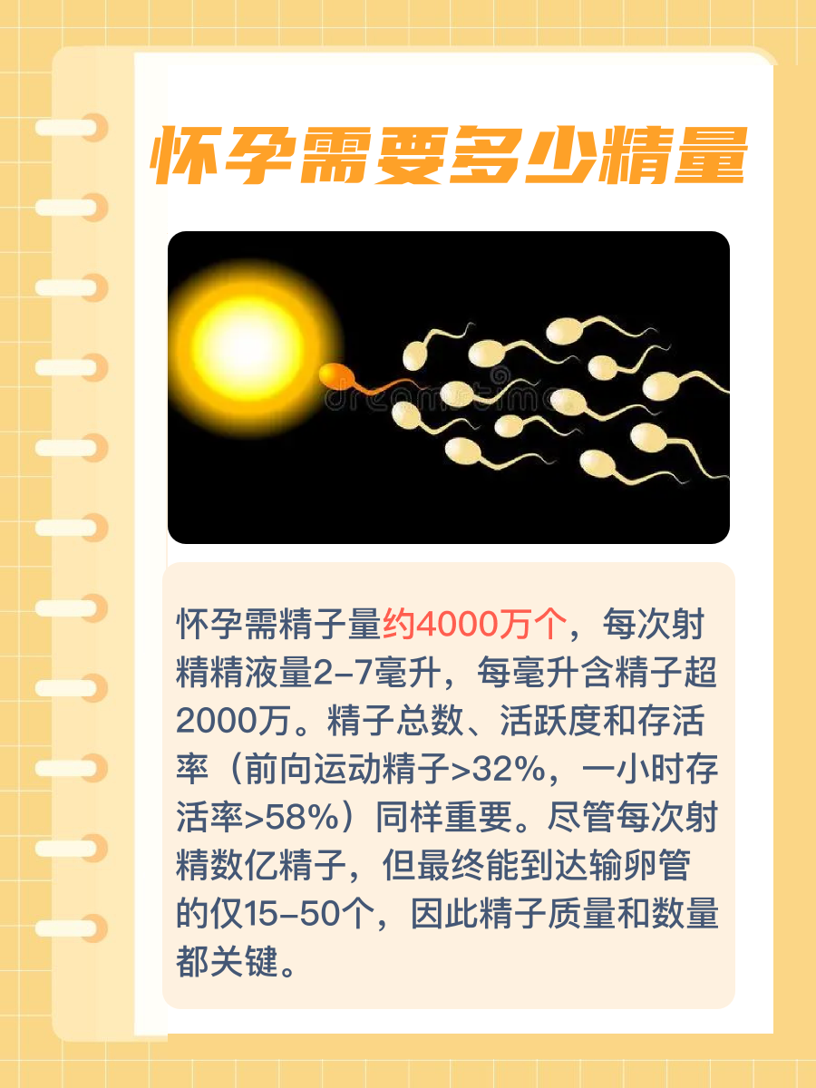 怀孕需要多少精量？揭秘受孕关键因素