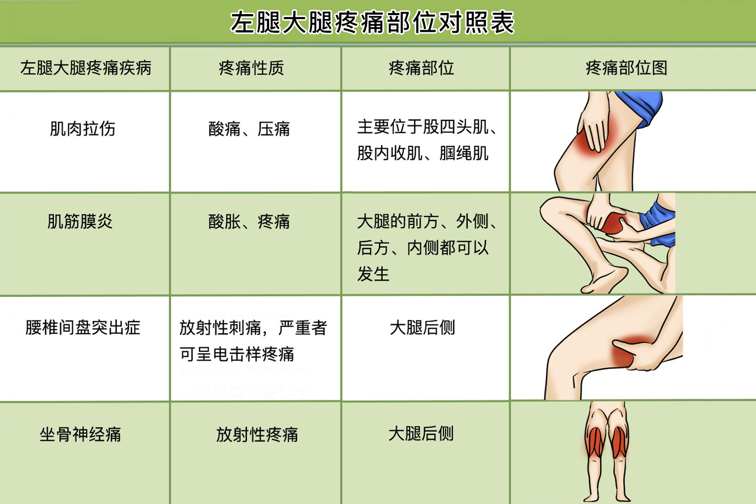 左腿大腿疼痛部位对照表 左腿大腿疼痛部位对照表