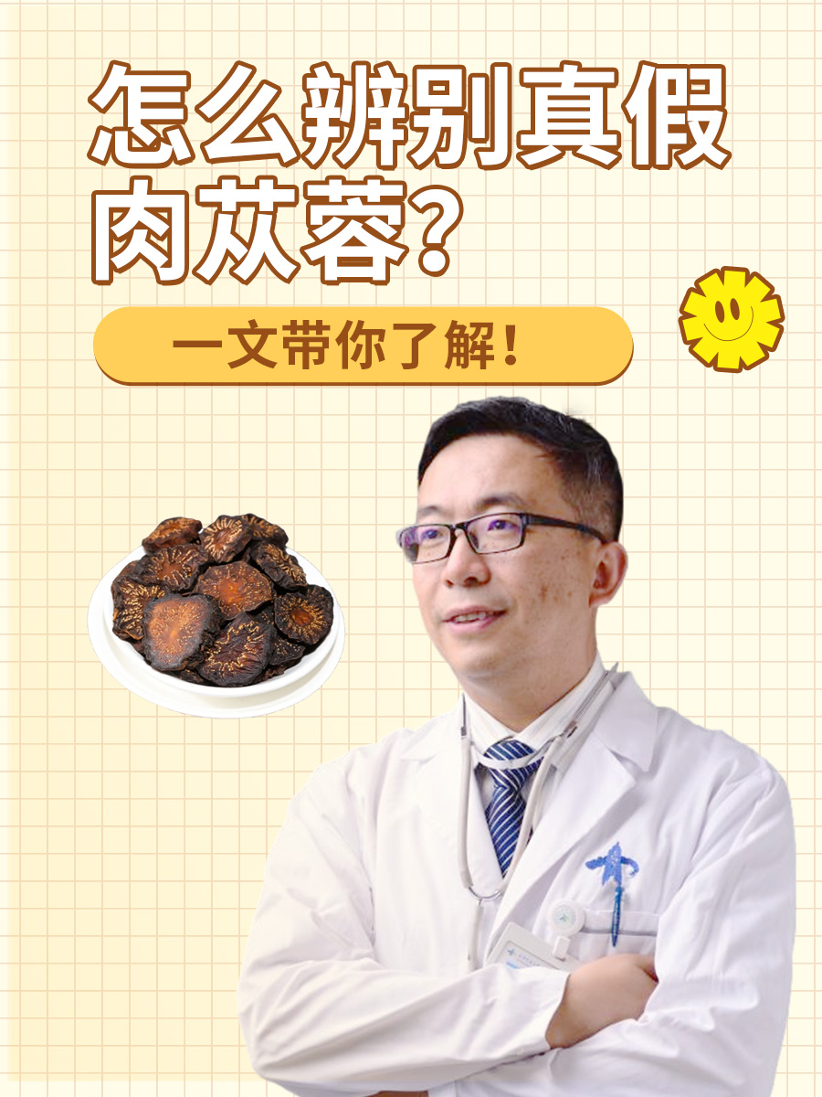怎么辨别真假肉苁蓉？一文带你了解！