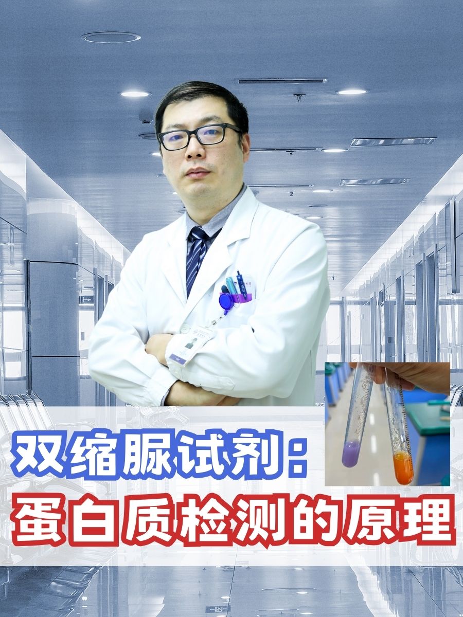 双缩脲试剂：蛋白质检测的原理