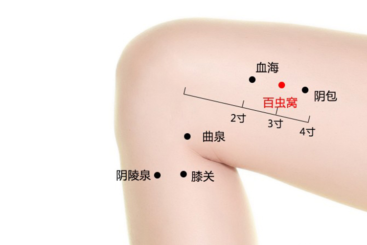 百虫窝的准确位置图