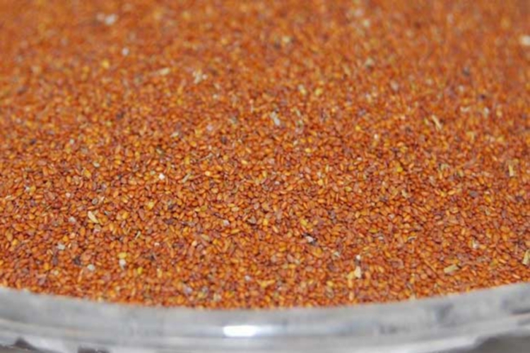 麦蒿药材外观图 麦蒿药材外观图