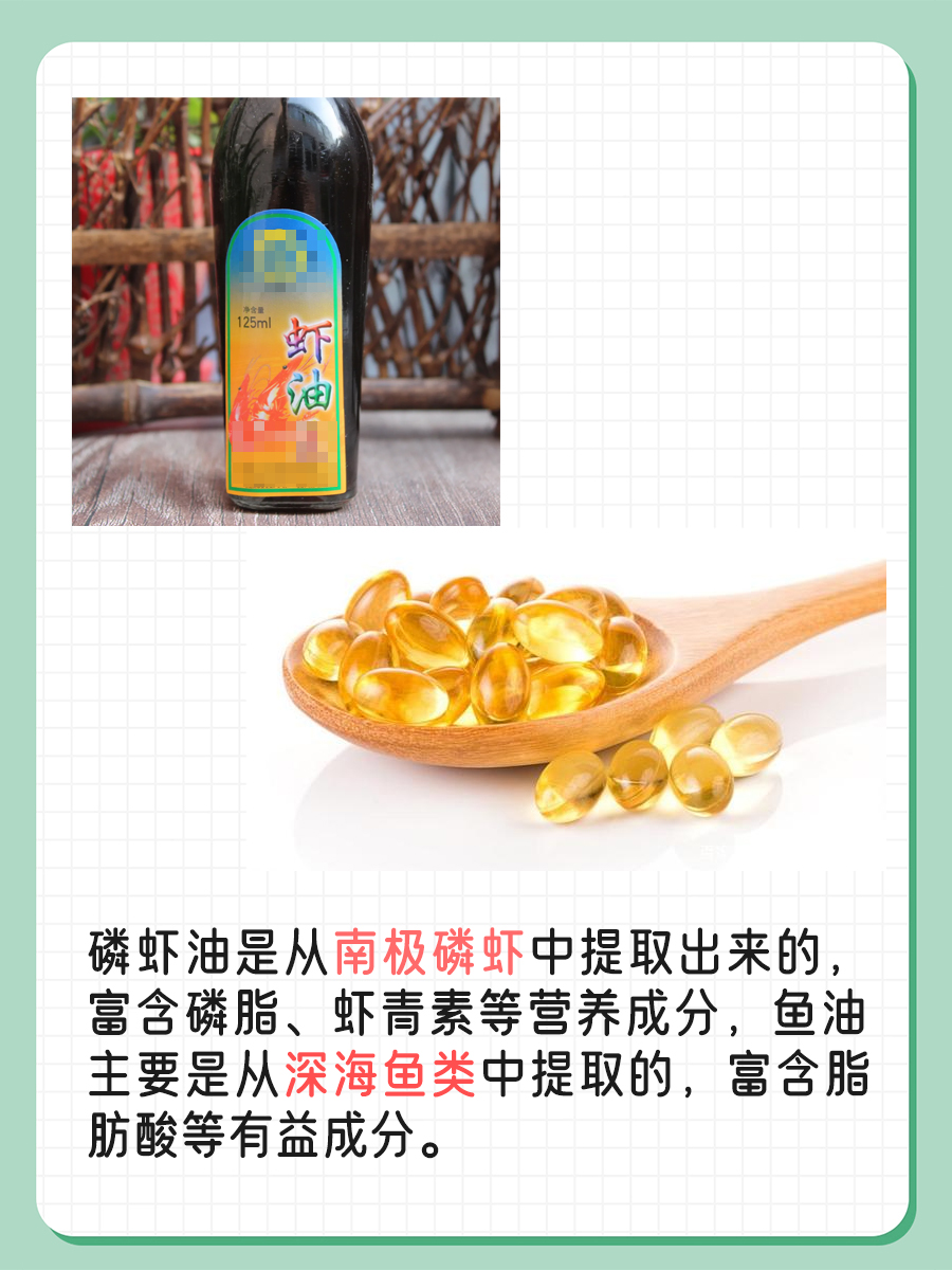 磷虾油VS鱼油：哪个更适合你？