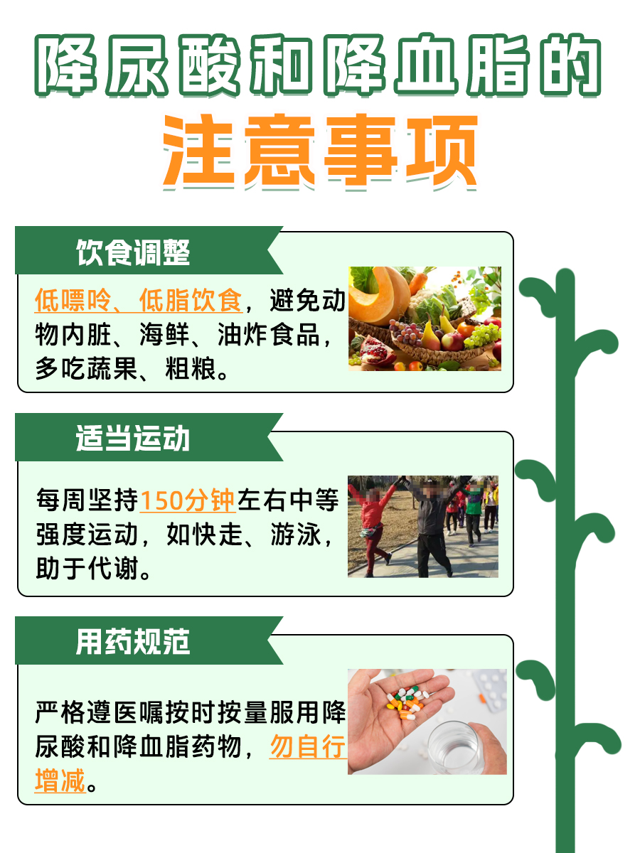 别错判！降尿酸和降血脂，该如何抉择先后？