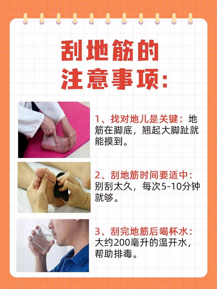 刮地筋半年记：身体在悄悄发生的变化