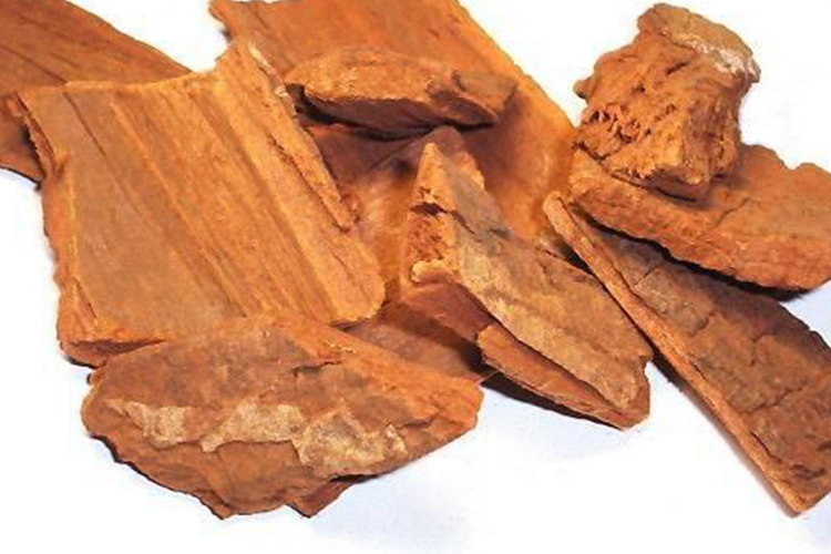 文冠果中药图 文冠果中药图