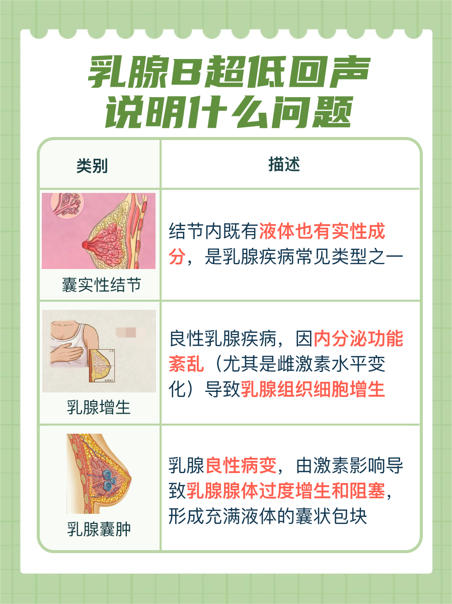 揭秘！乳腺B超低回声什么意思！