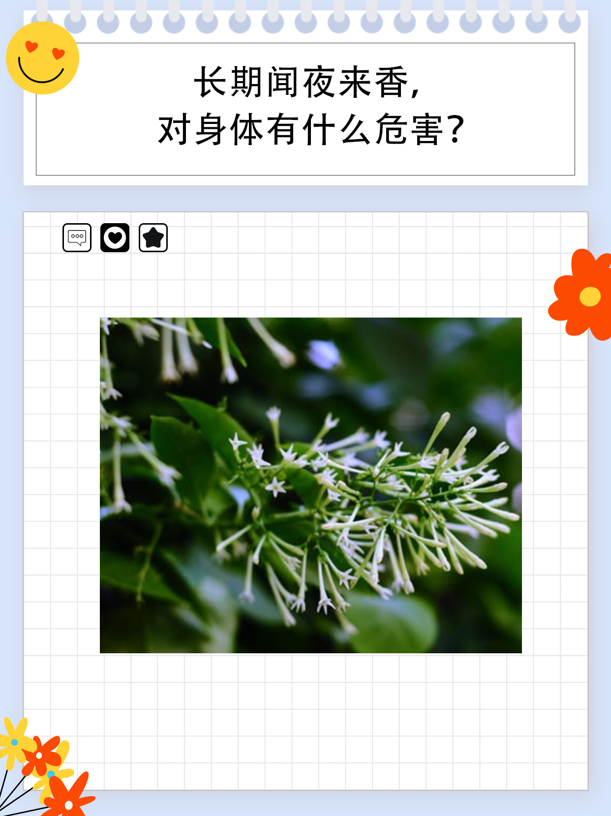 长期闻夜来香，对身体有什么危害？
