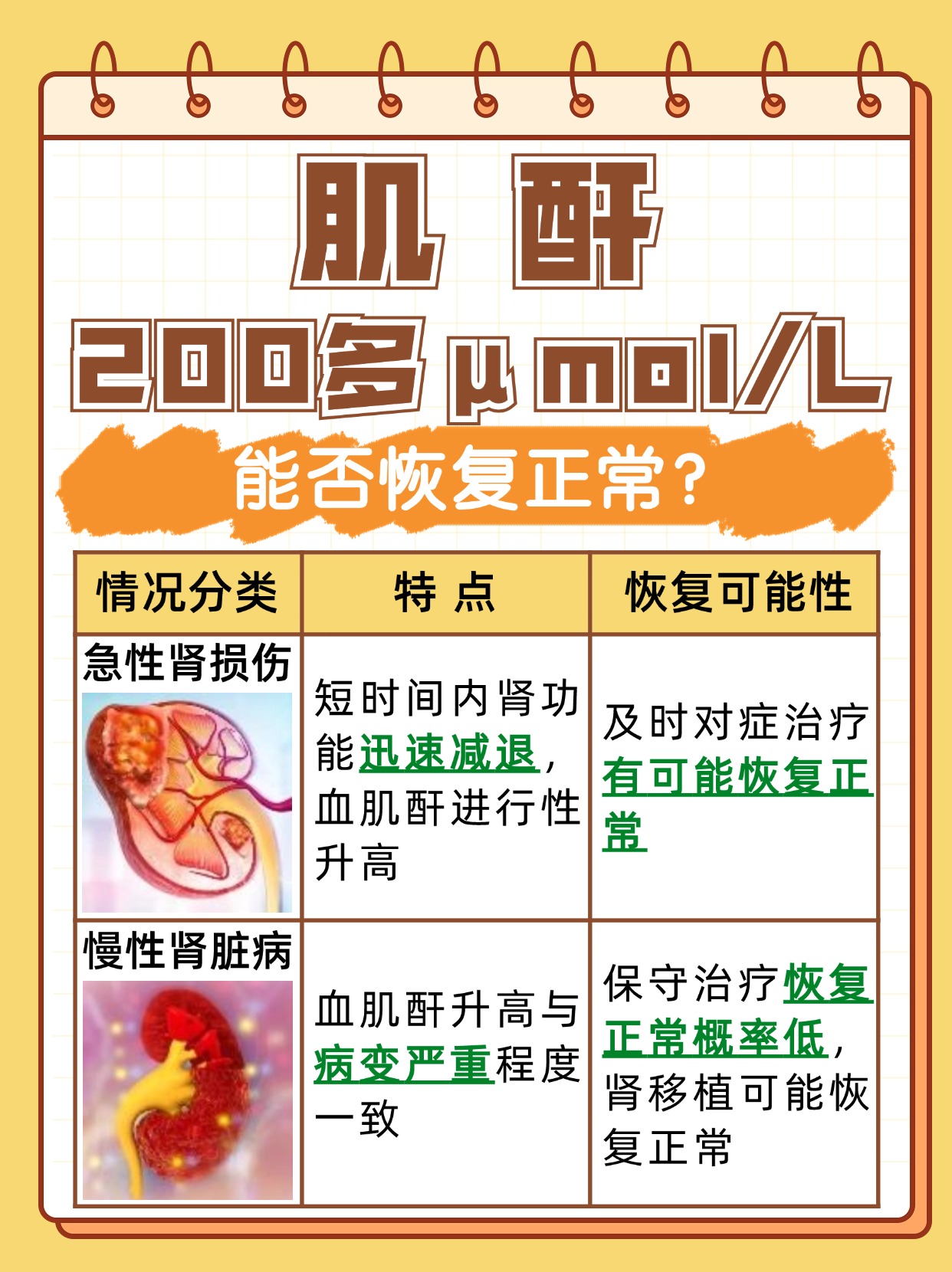 肌酐达200多μmol/L，能回归正常吗
