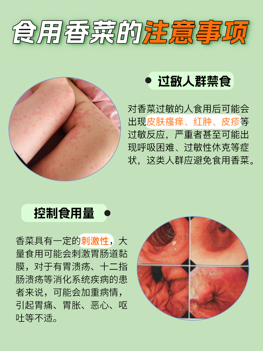 香菜的功效与作用:被低估的“宝藏蔬菜”