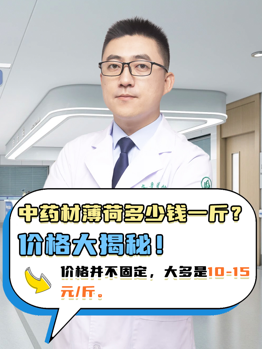 中药材薄荷多少钱一斤？价格大揭秘！