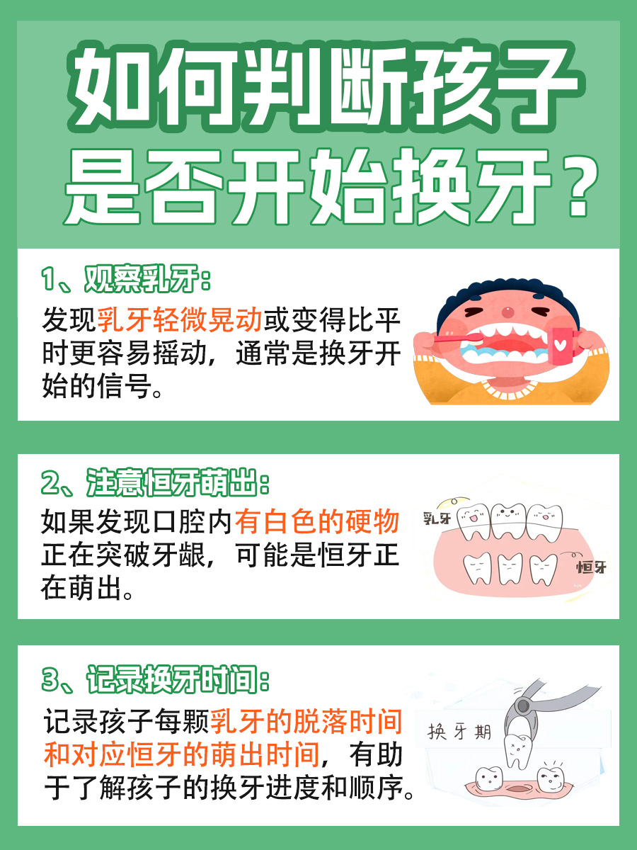 12岁倒数第二颗牙齿掉了怎么办？一文解析