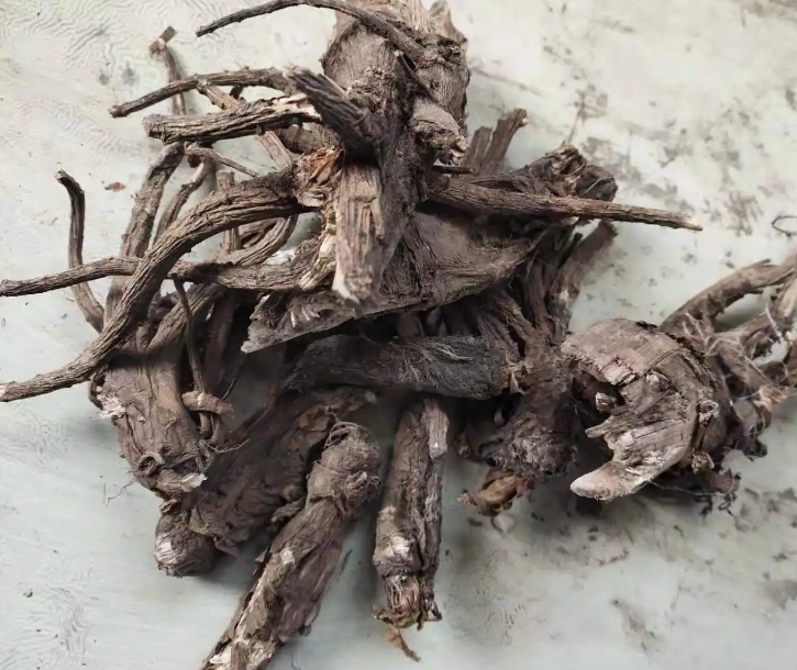 走马芹中药图 走马芹中药图