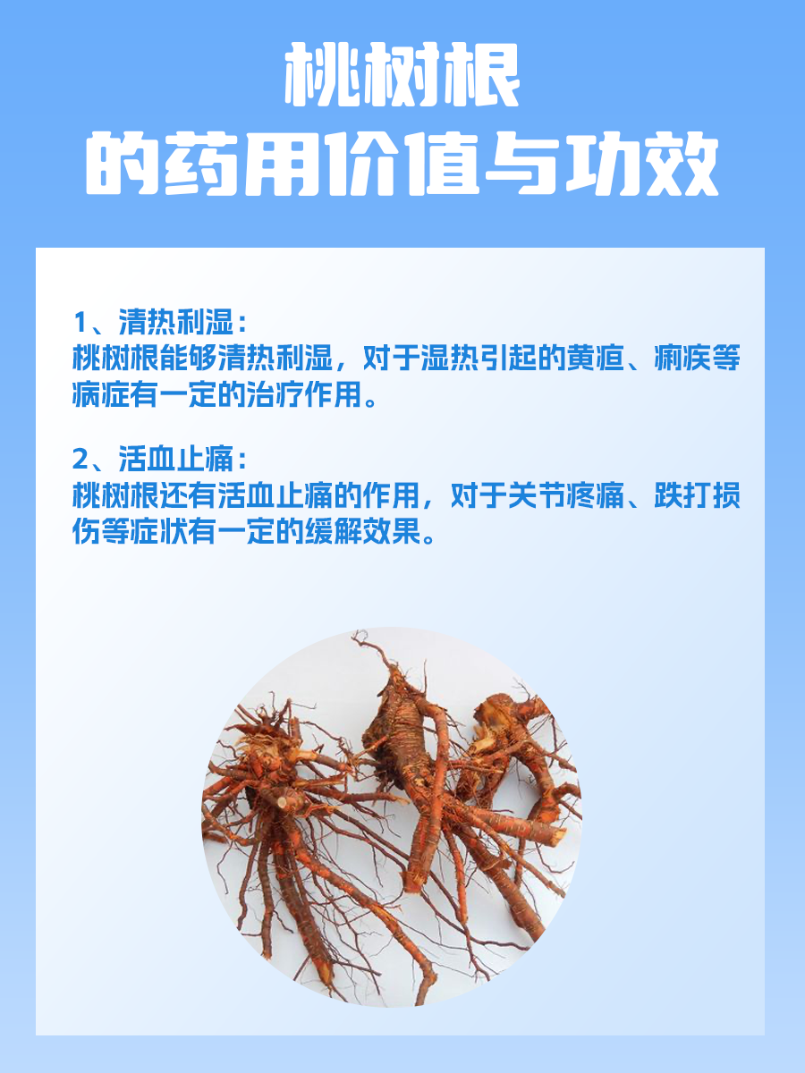 揭秘桃树根：药用价值与神奇功效