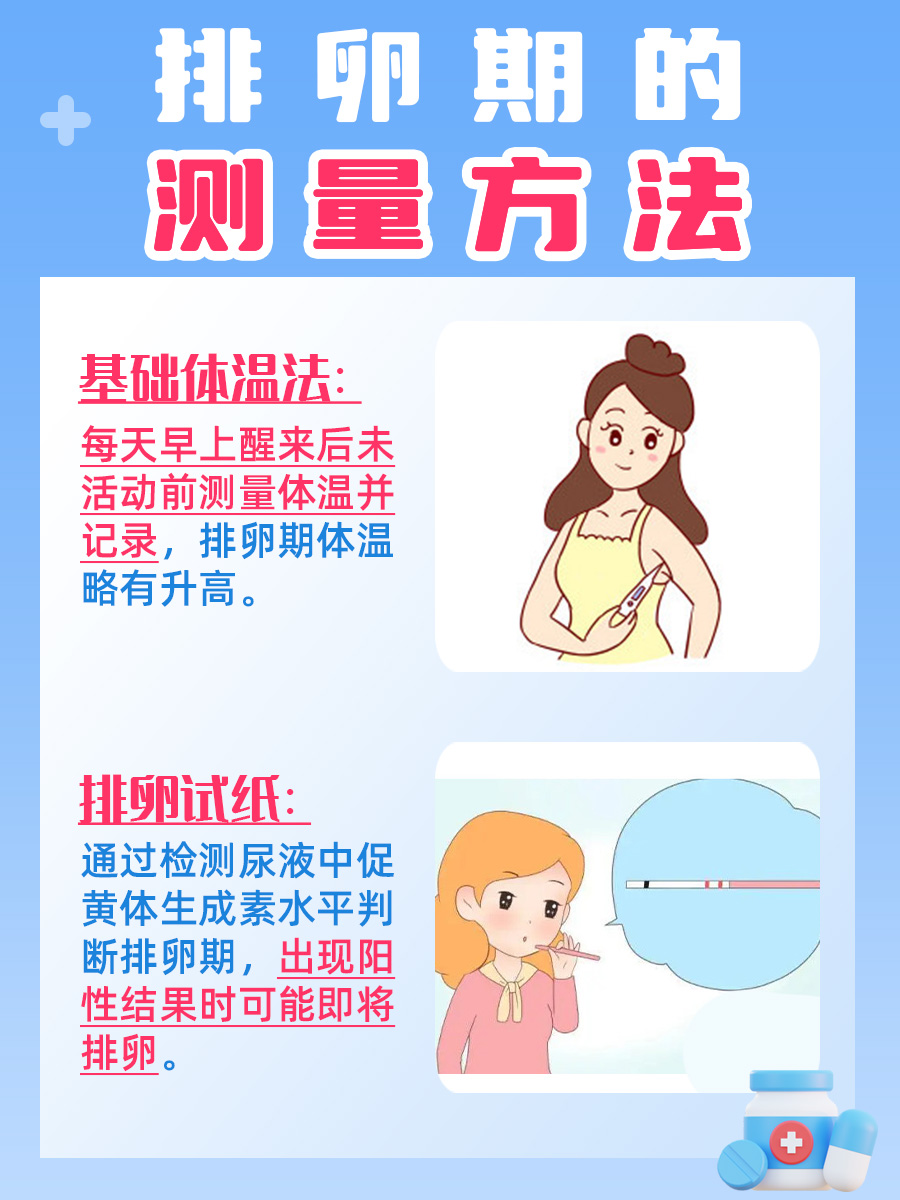 带你了解，经期30号，排卵期是什么时间