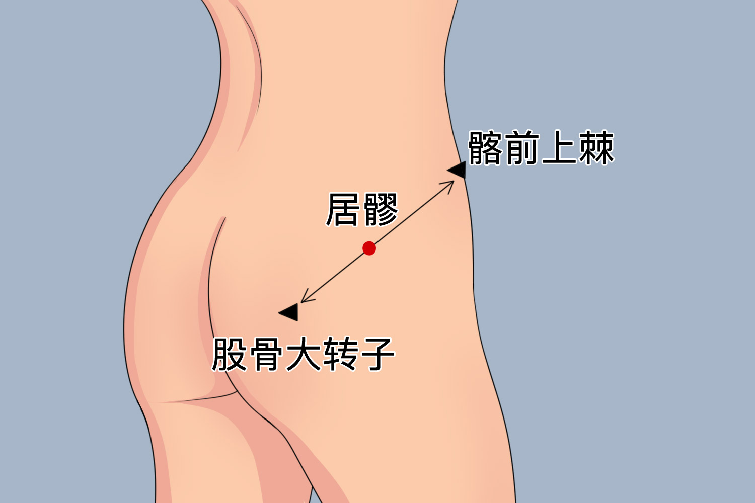 居髎的准确位置图