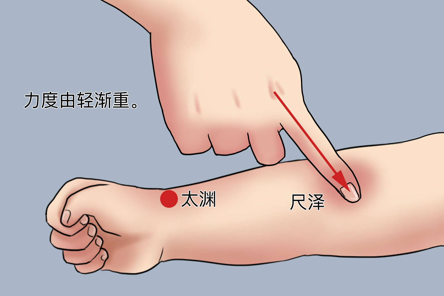 推尺泽、太渊穴位图
