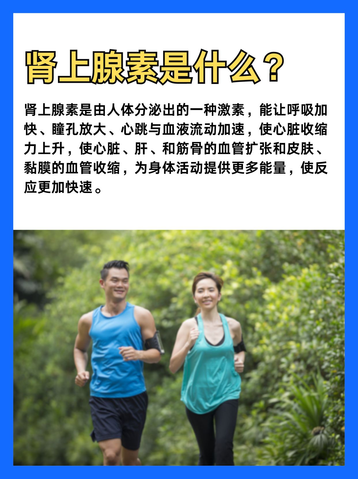 “人体超级能源”肾上腺素，到底有多牛！