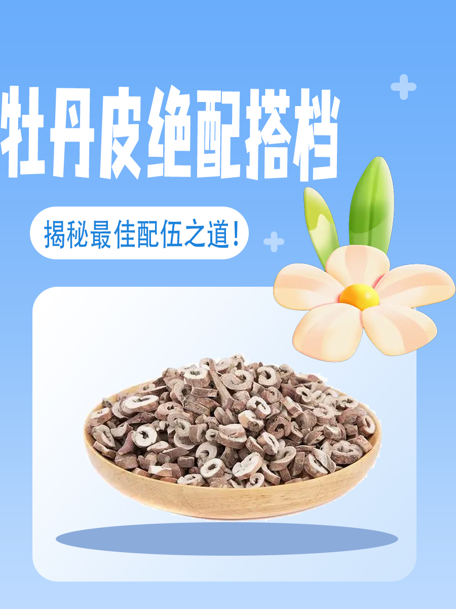 牡丹皮绝配搭档，揭秘最佳配伍之道！