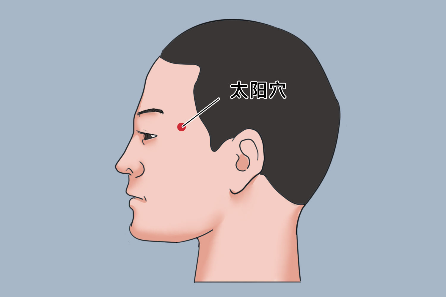 太阳穴位置图