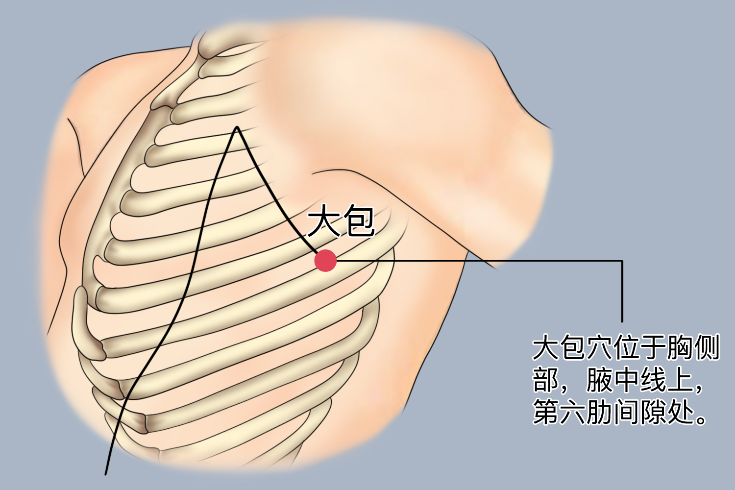 大包穴位置图