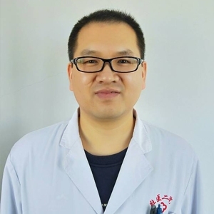 王振东