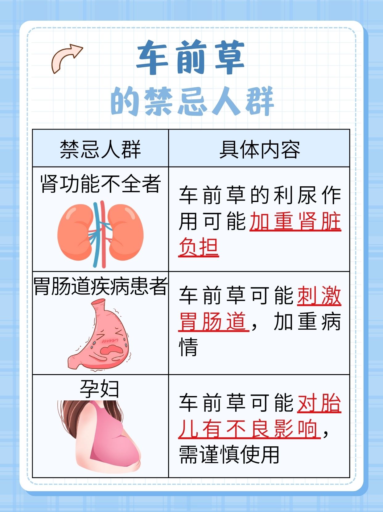 车前草有助于降尿酸？这是真的吗？