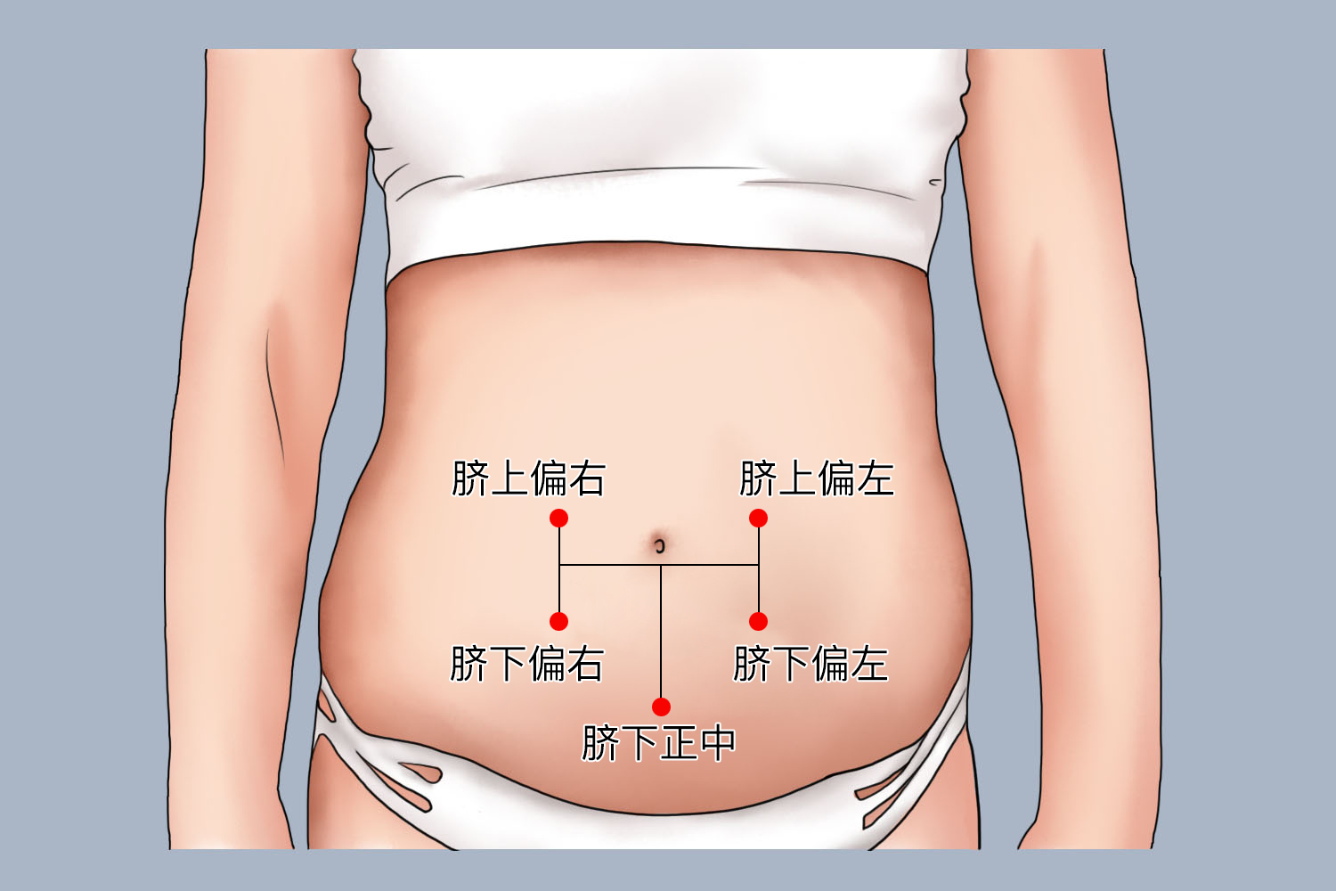 孕33周胎心位置图