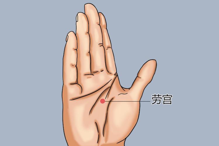 劳宫穴位置图