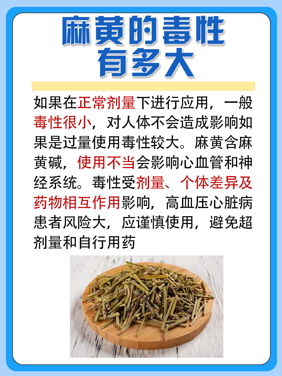 麻黄的毒性有多大 ？一文揭秘
