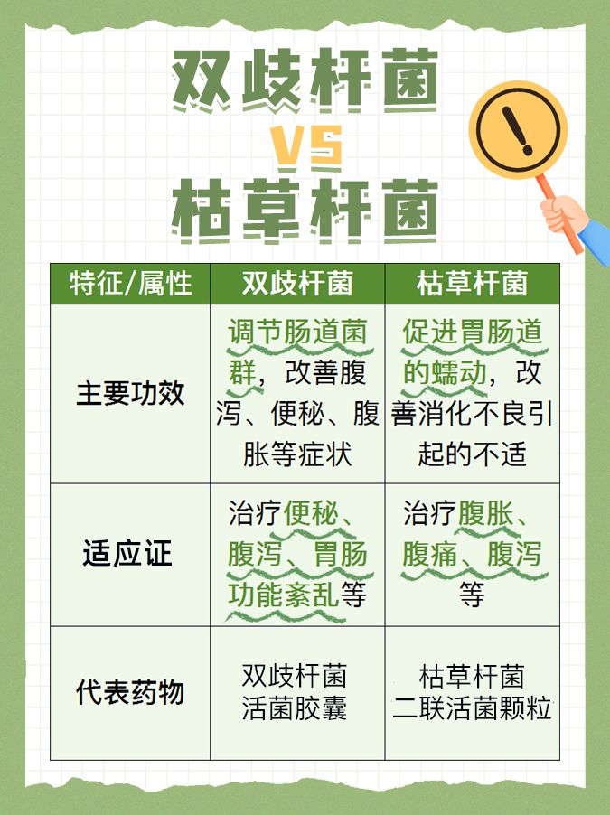 双歧杆菌VS枯草杆菌，两者对比解析