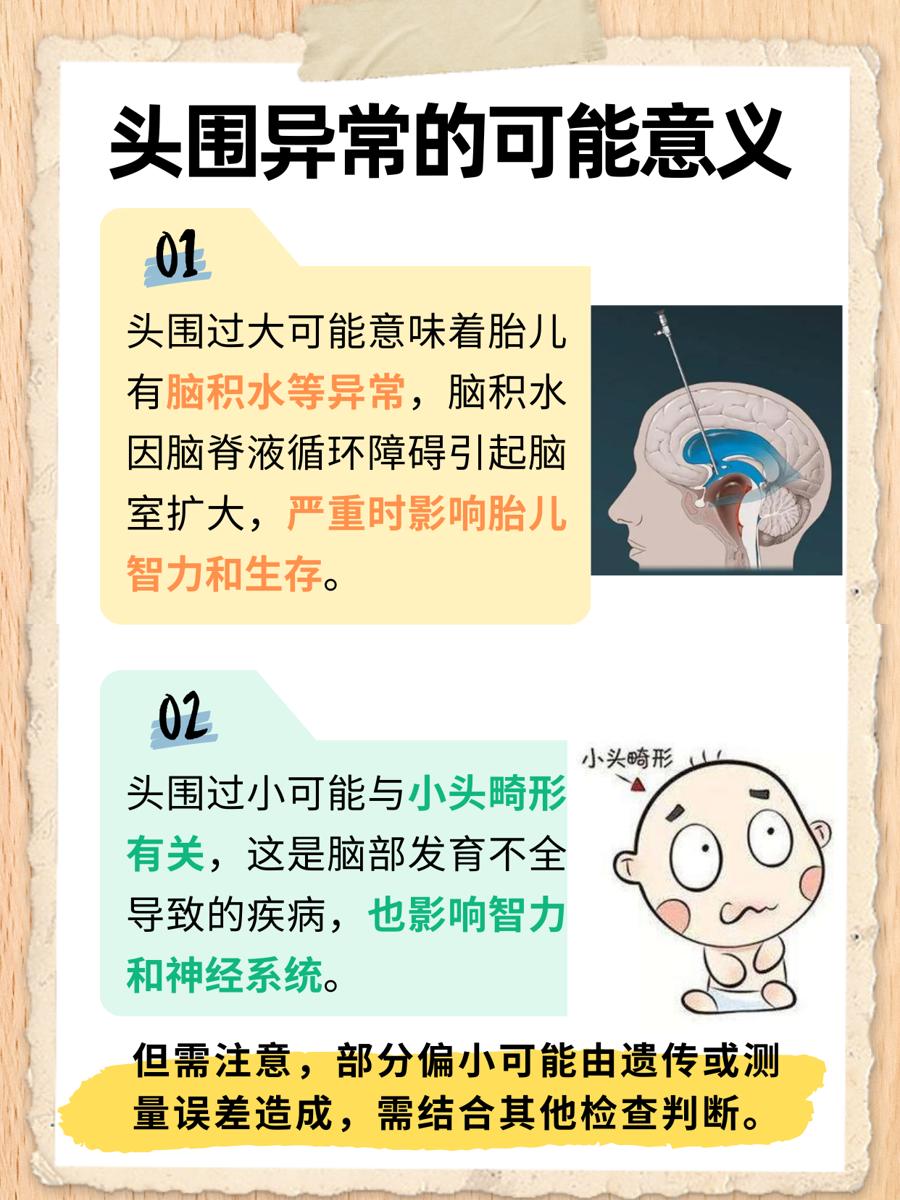 胎儿头围标准对照表