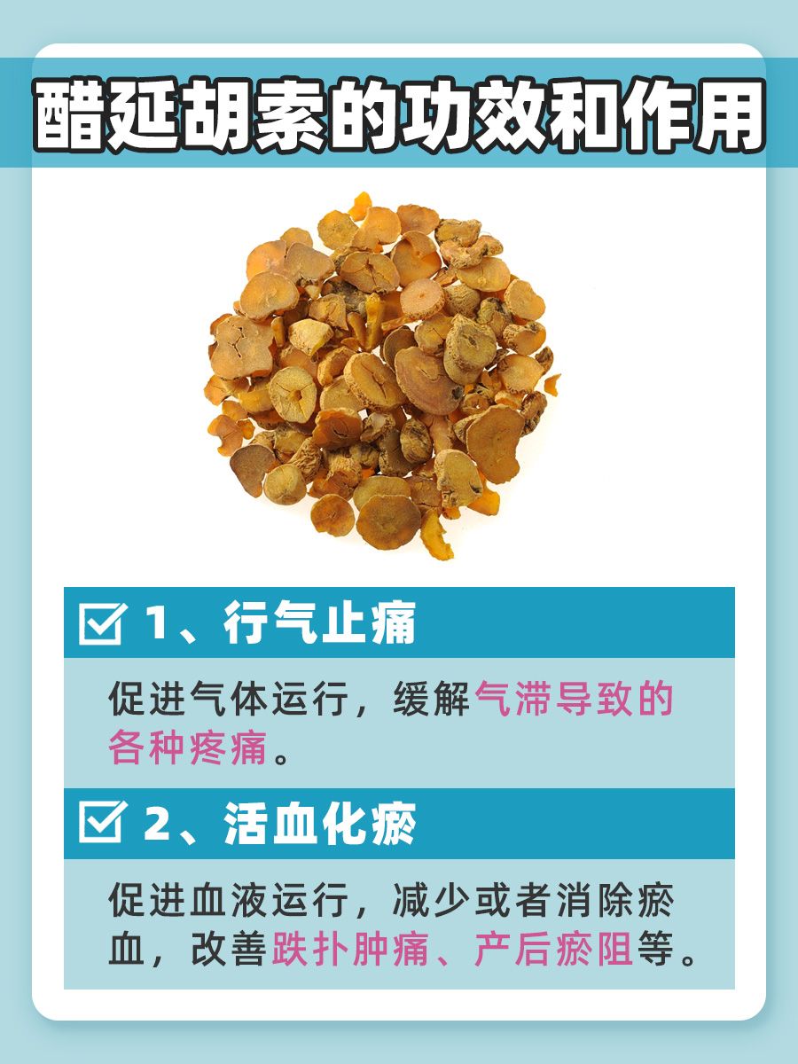 每天认识一味中药—醋延胡索的功效与作用