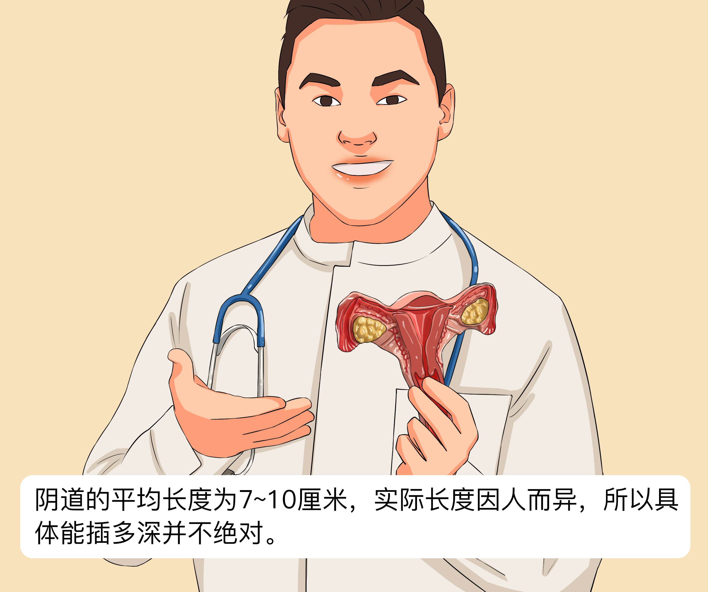 三、阴茎筋膜和悬韧带-泌尿科学-医学
