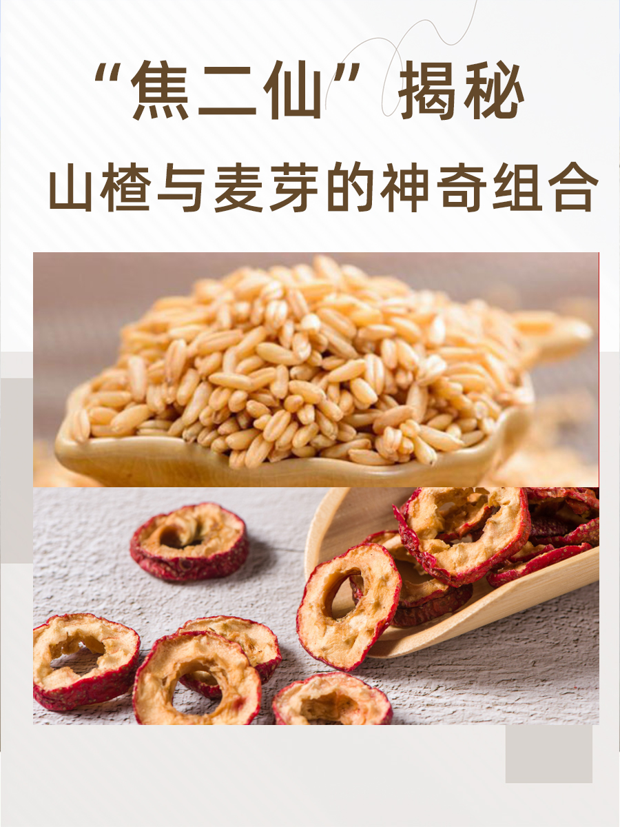 “焦二仙”揭秘：山楂与麦芽的神奇组合