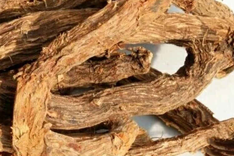 九里香根中药图 九里香根中药图