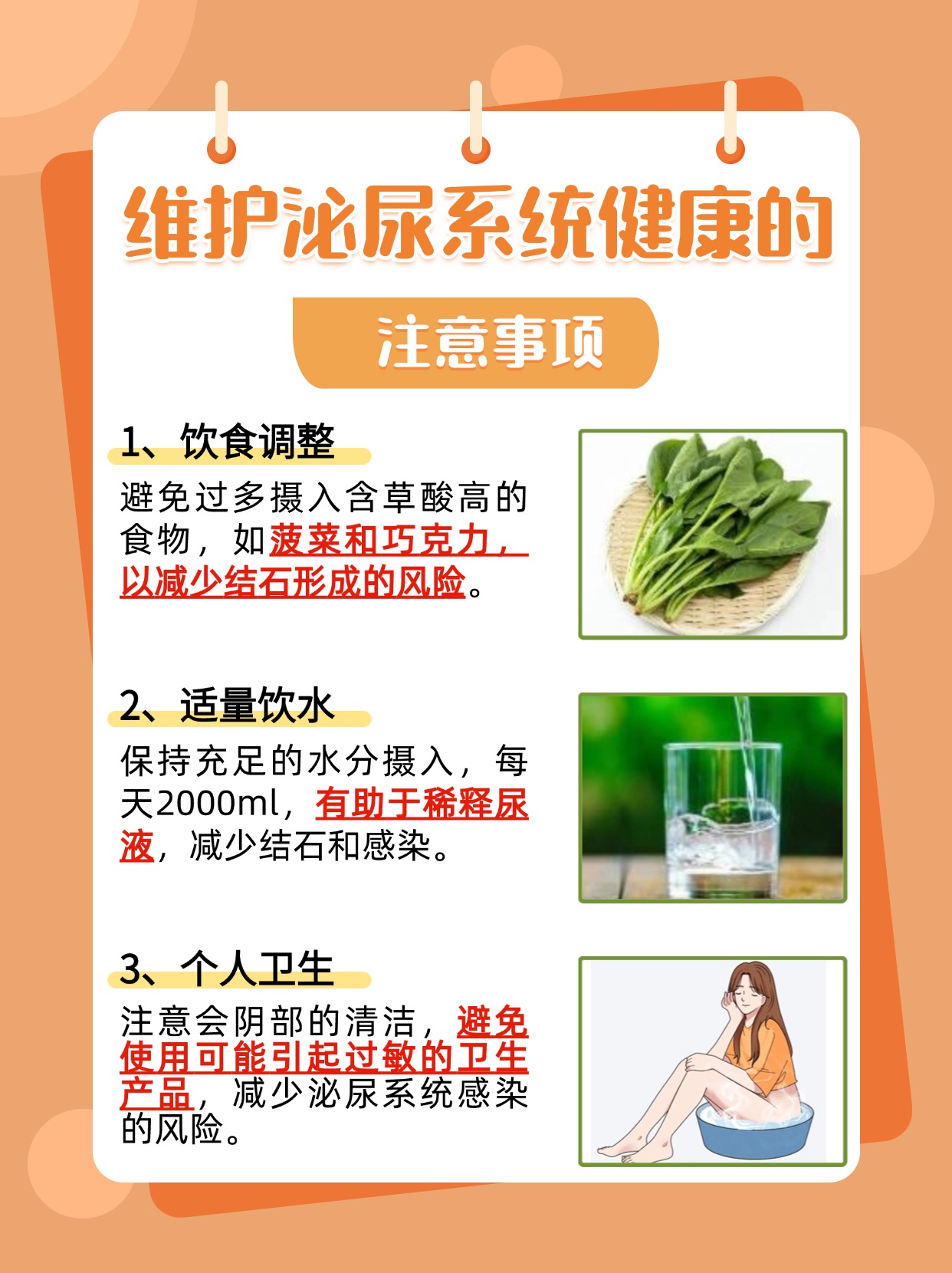 女性泌尿系统彩超检查，重点扫描部位一览