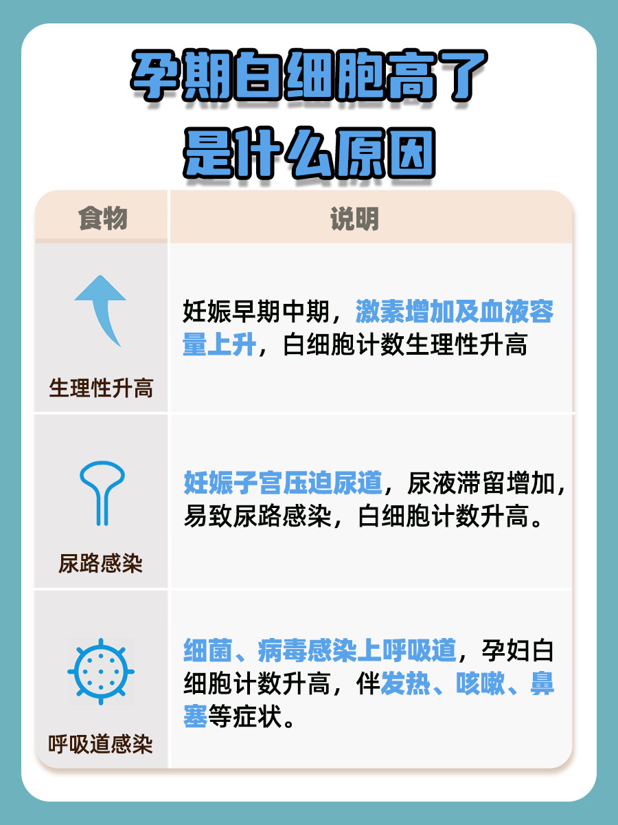 探究：孕期白细胞高了是什么原因