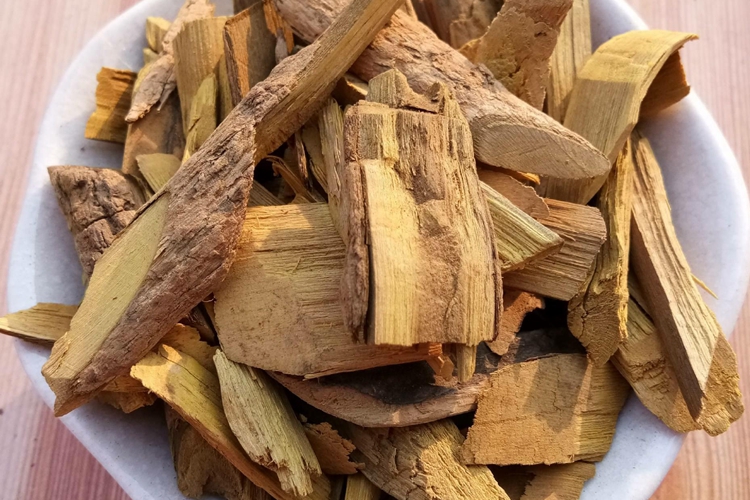 鸡脚刺草药图 鸡脚刺草药图