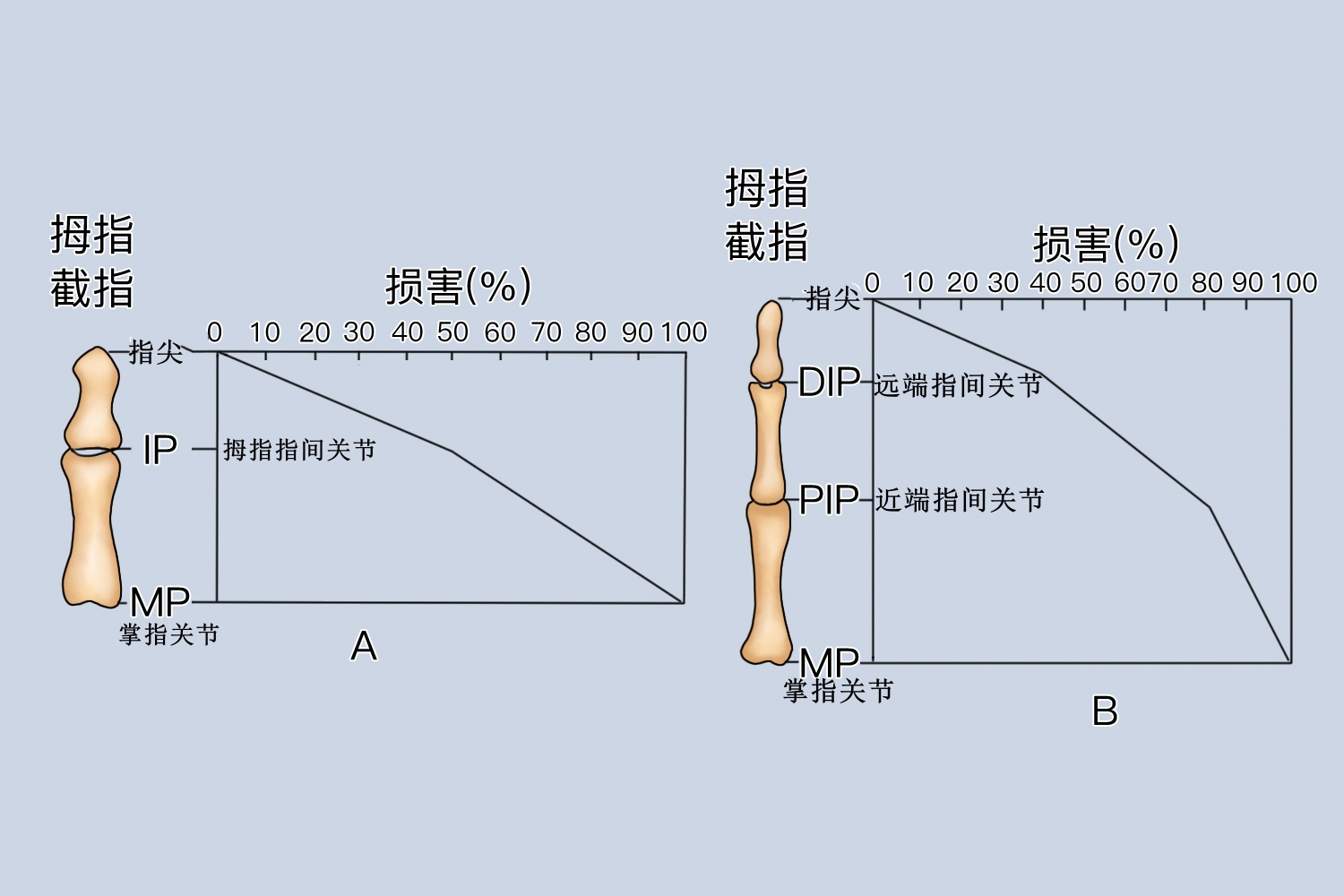 手指功能丧失评分图 手指功能丧失评分图