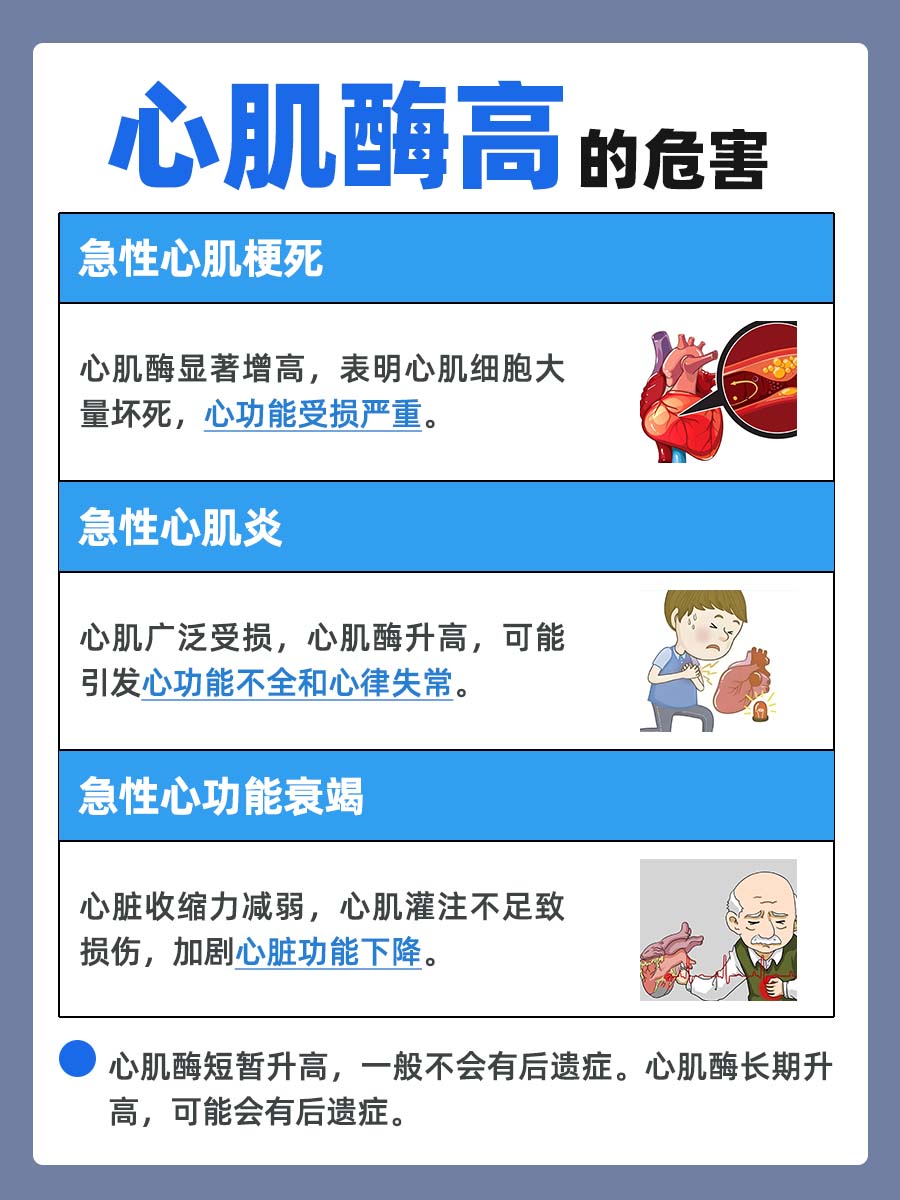 心肌酶高：了解危害、后遗症与日常注意事项