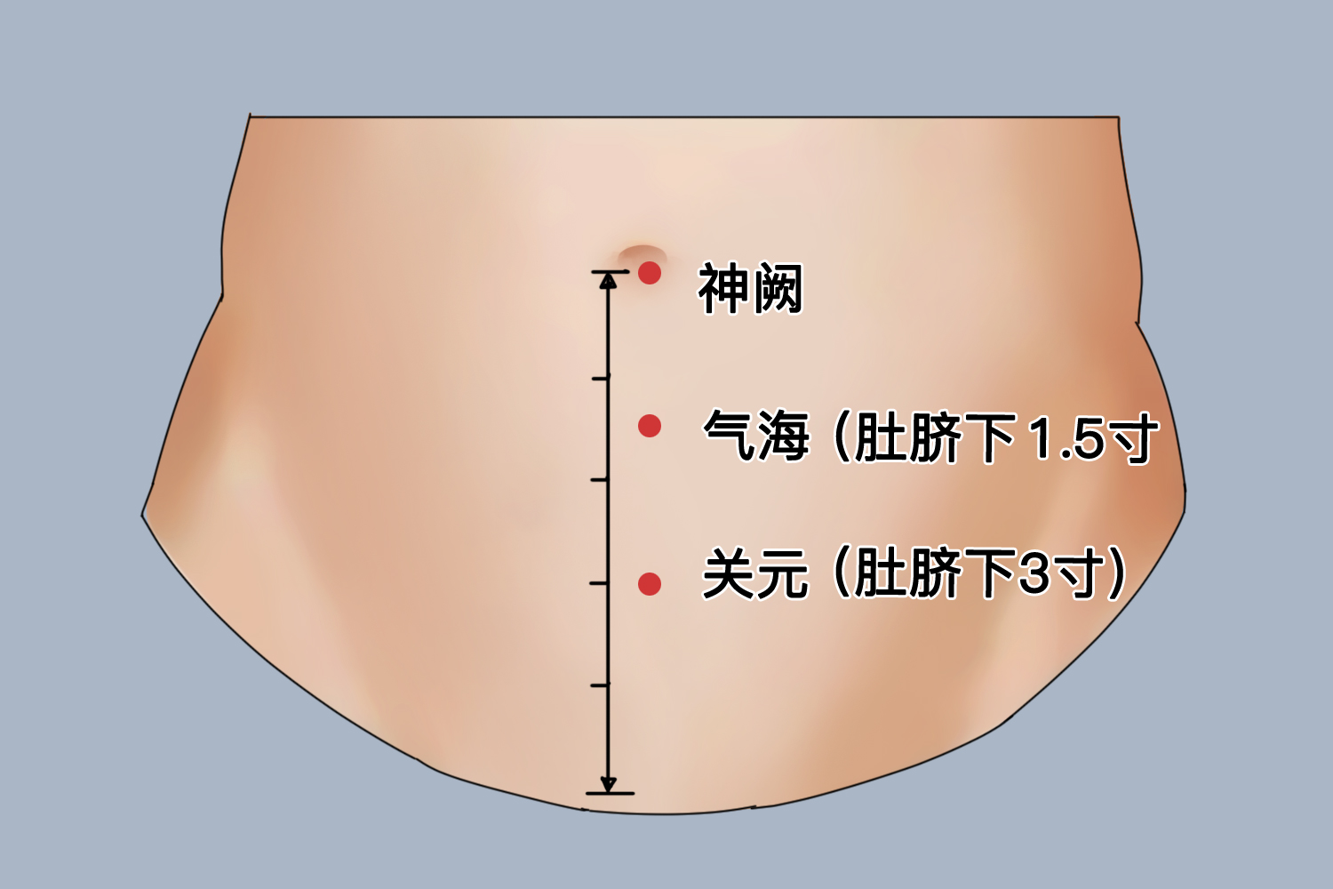 神闕和關元位置圖