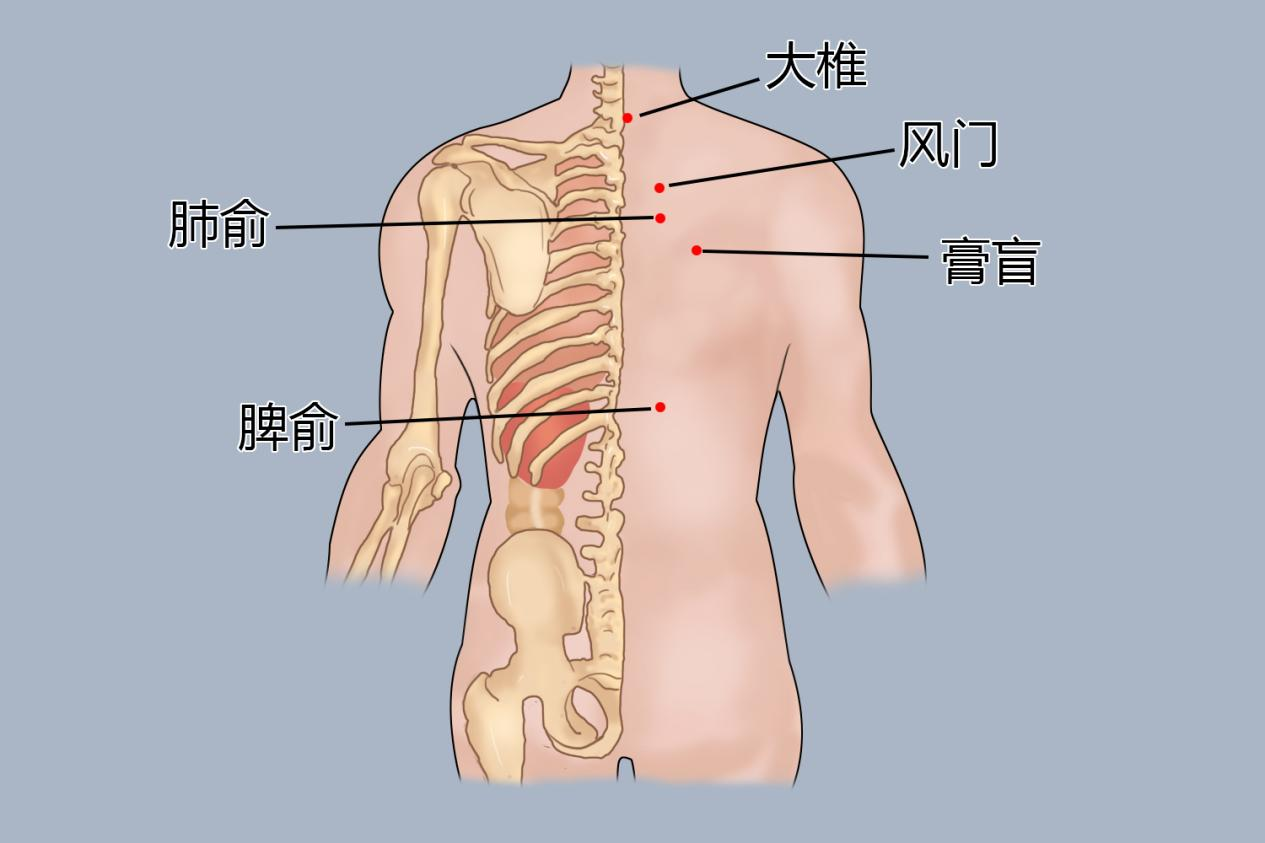 鼻炎拔罐拔哪个位置图图片