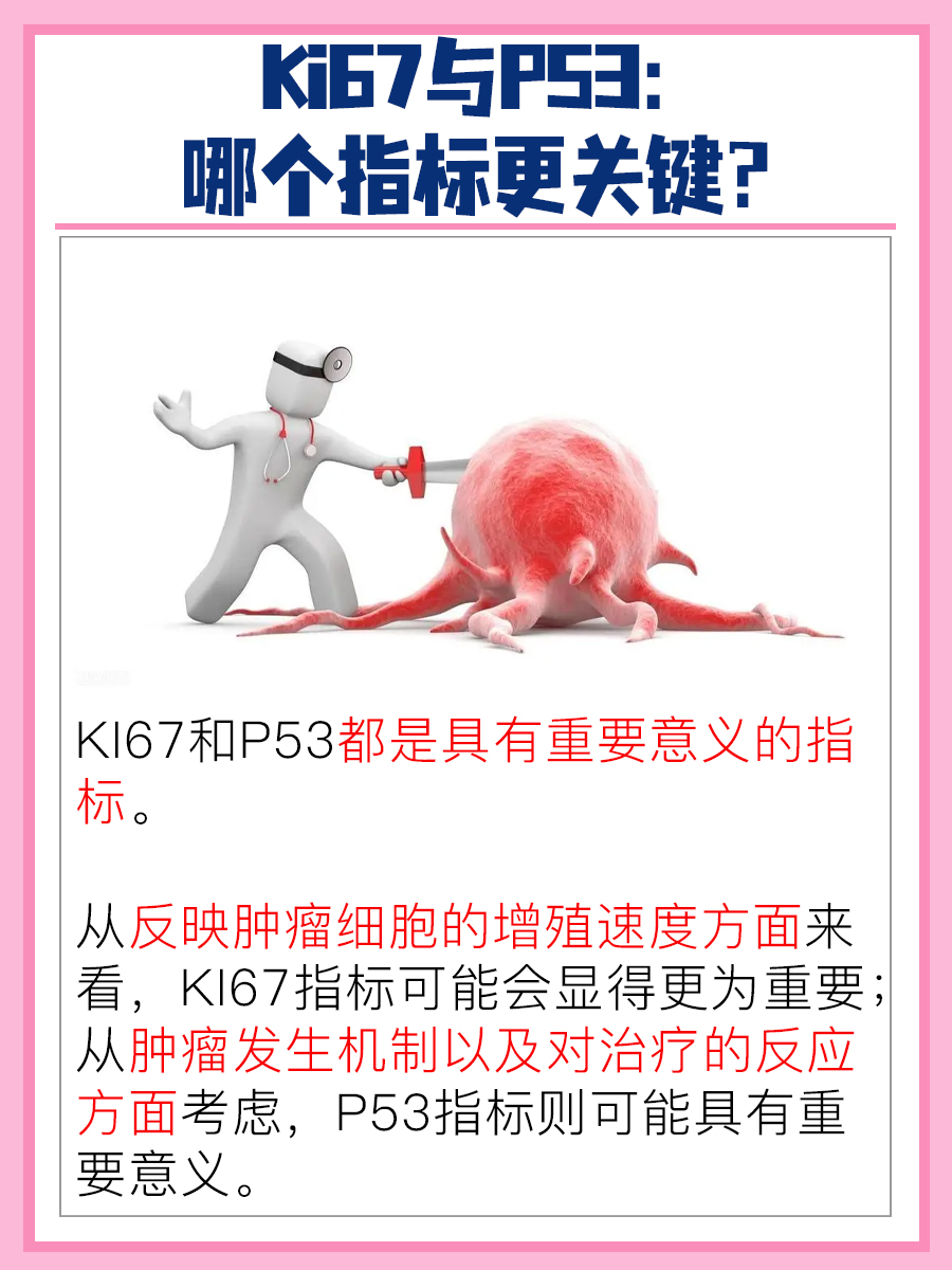 Ki67与P53:哪个指标更关键?